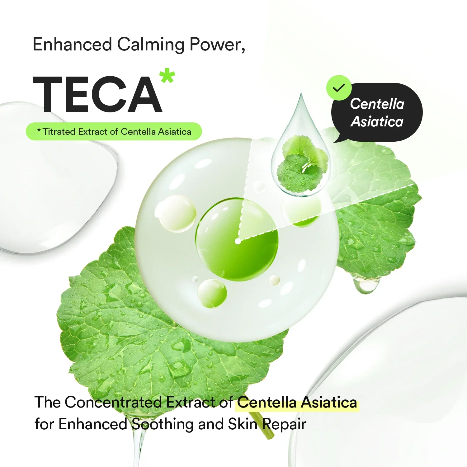 Abib Heartleaf Teca Capsule Serum Calming Drop 50ml - Image 6