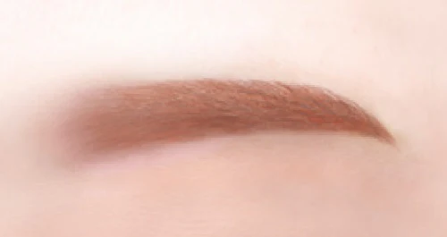 Canmake 3 In1 Eyebrow 01 Natural Brown N - Image 3