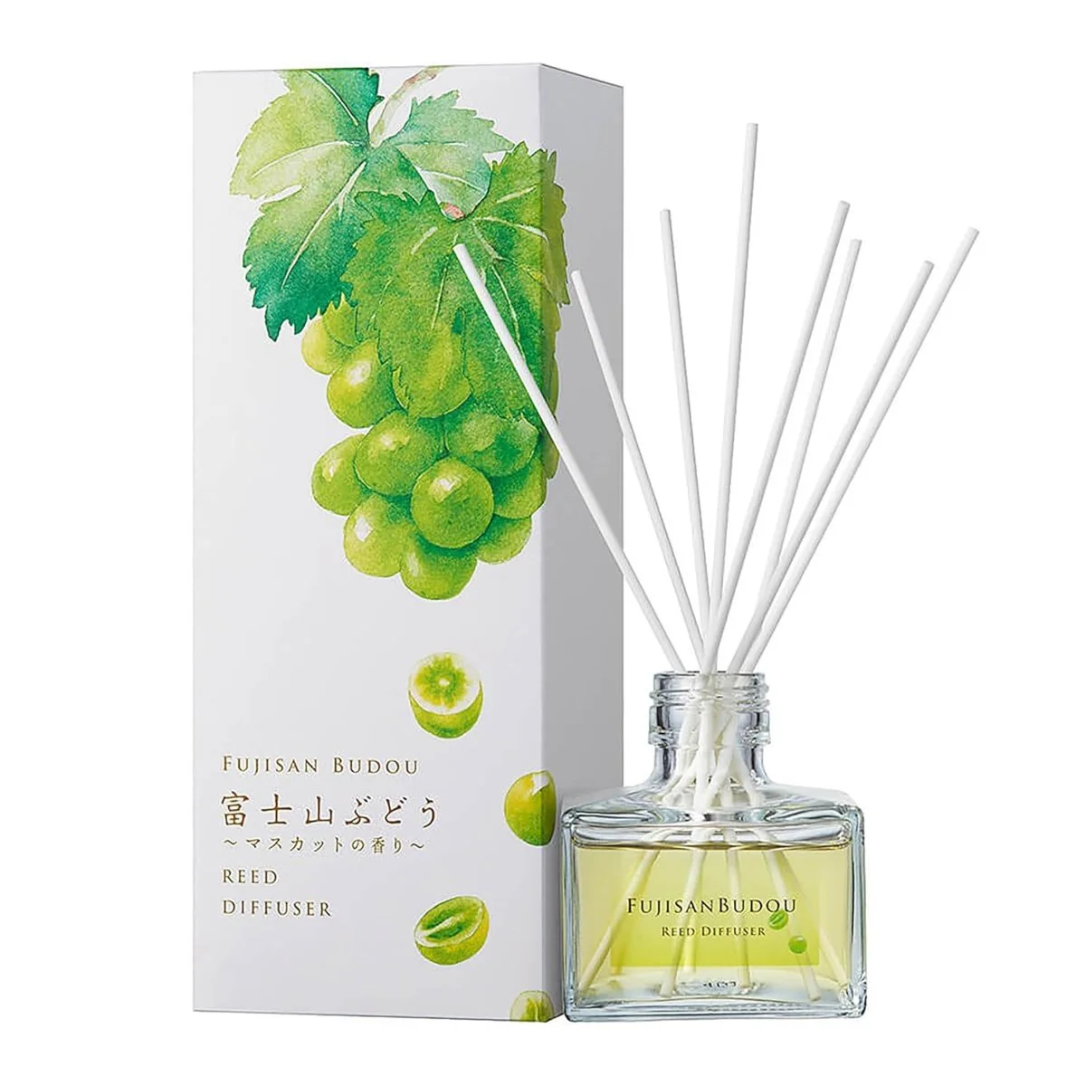 Daily Aroma Reed Diffuser 120ml - Image 4