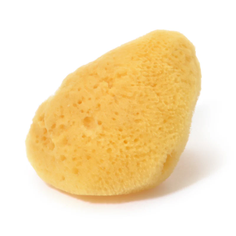 Rosy Rosa Natural Sea Sponge M - Image 2