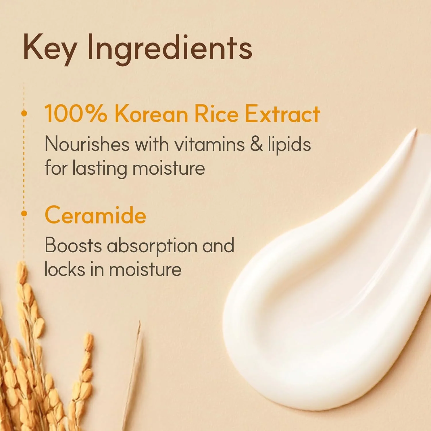 The Face Shop Rice & Ceramide Moisturizing Cream 50ml - Image 4